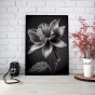 ����� �������� ��� ��������� - Black & White Flowers