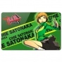 ������ ��������� ������������� Persona 4 Chie Satonaka