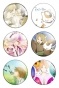 ����� ������� ������� "Natsume Yuujinchou" No.3