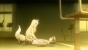 Kanokon (�������)