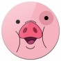 ������ ��������� ������� ����� - ������� ���� / Waddles - Gravity Falls
