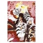 ���� Katekyo Hitman Reborn (������ A3, 252 ������) 67350