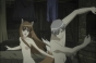 Spice and Wolf (������� � �������� (������ �����))