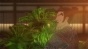������� �������� / Nobunaga Concerto [10 �� 10] TV (720p)
