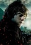 ������ �������� �� ������ Harry Potter