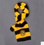 ���� Harry Potter - ��������