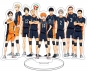������� ��������� Haikyu!! - �������� 1 (Volleyball 1)