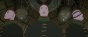 Tekkon Kinkurito (�����������) HD