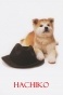 ������� ������ / Hachi-ko