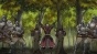 ������� � �������� �������� / Granblue Fantasy The Animation