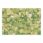���� Pokemon - Grass pokemon (������ A3, 252 ������)