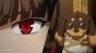 InuHasa (ϸ� � ��������� � ��� �������) HD