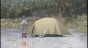 ����� �������� ������� / Yuru Camp [HD]