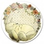 ������ ��������� ������� Tonari no Totoro - Flower
