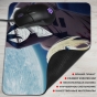 ������ ��� ����� Angels of Death - Zack � Ray