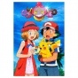 ���� � ����������� Pokemon (������ A3, 252 ������)