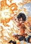 ������ �������� One Piece � 13