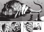����� �������� �������. ����� 9 / Fullmetal Alchemist. Vol. 9
