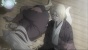 ����� �������, ��� / Kami-sama Hajimemashita OVA