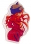 ������ �������� ���������� - Asuka �11