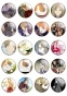 ����� ������� Natsume Yuujinchou No.2