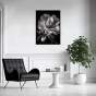 ����� �������� ��� ��������� - Black & White Flowers
