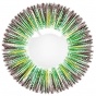 ���������� ���������� ����� Maxiy Girl Dandelion Green #95
