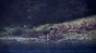 ������� ������� / Kagewani [13 �� 13]
