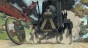 Steamboy (�������)