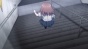 ����������� - ���� ������� / Tawawa on Monday