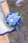 ������� Gochumon wa Usagi Desu ka??: Chino (Summer Uniform)