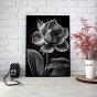 ����� �������� ��� ��������� - Black & White Flowers