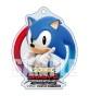 ����� � �������� Nintendo Switch Sonic X Shadow Generations: Collectors Edition