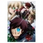 ���� Kekkai Sensen (������ A3, 252 ������) 350041