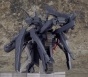 ������� ACT MODE BOFURI: Maple Machine God Ver.