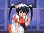 Hanaukyou Maid Team (��������� ������)