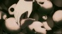 Rozen Maiden Zuruckspulen (���� ������) HD