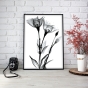 ����� �������� ��� ��������� - X-Ray Flowers