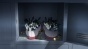 ����� ���� ������� ��������� / Mahou Shoujo Site [DVD]
