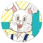 ������ ��������� ������� �������-������ ����� - Rabbit Head
