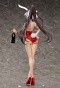 ������� Infinite Stratos: Houki Shinonono Bare Leg Bunny Ver.