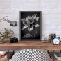 ����� �������� ��� ��������� - Black & White Flowers