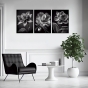 ����� �������� ��� ��������� - Black & White Flowers