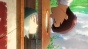 Patema Inverted (������ ��������) HD