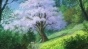 Miyori no Mori (��� ����) HD