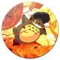 ������ ��������� ������� Tonari no Totoro Orange