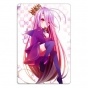 ������ ��������� ������������� No Game No Life 312882