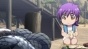 ����: ����������� �������� / Magi: Sinbad no Bouken [12 �� 12]