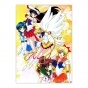 ������ �������� Sailor Moon S Kaguya Hime no Koibito