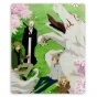 ������ ��� ����� Natsume Yuujinchou 62946
